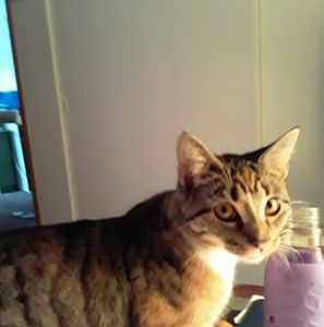 Meet your Posher, Caroline